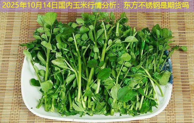 2025年10月14日国内玉米行情分析