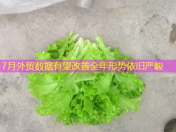 7月外贸数据有望改善全年形势依旧严峻