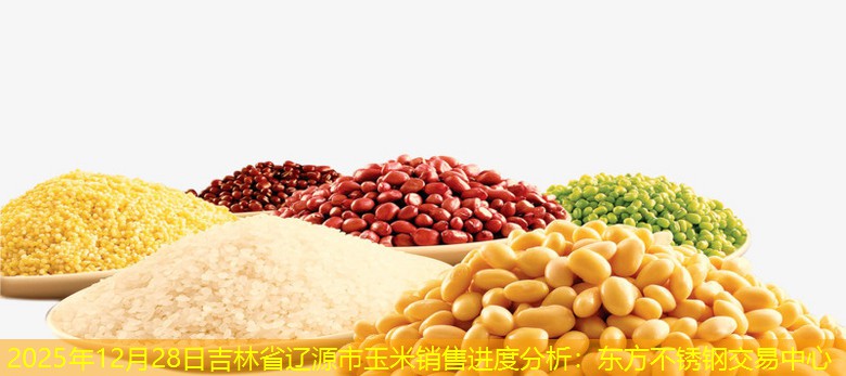 2025年12月28日吉林省辽源市玉米销售进度分析
