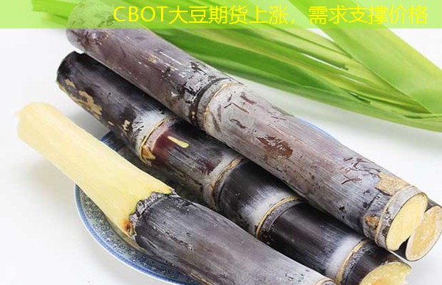 CBOT大豆期货上涨，需求支撑价格