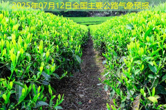 2025年07月12日全国主要公路气象预报