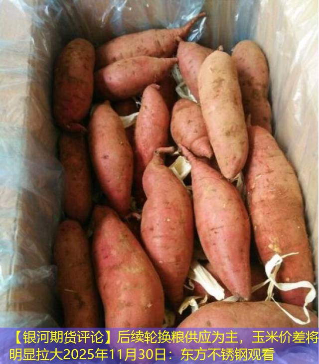 【银河期货评论】后续轮换粮供应为主，玉米价差将明显拉大2025年11月30日：东方不锈钢观看