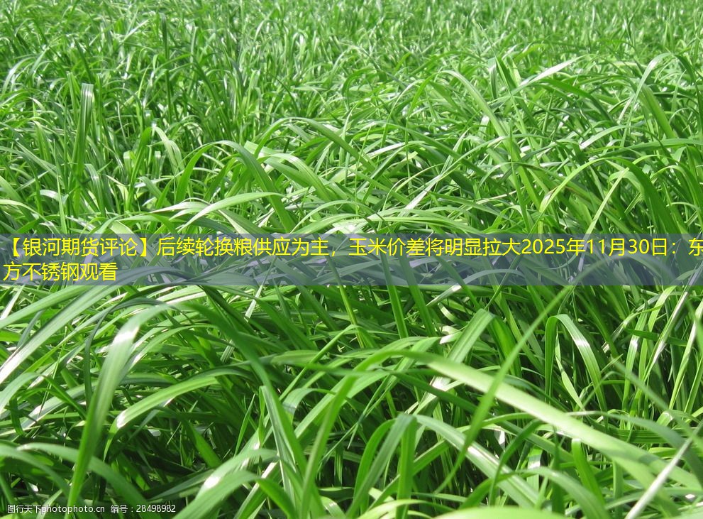 【银河期货评论】后续轮换粮供应为主，玉米价差将明显拉大2025年11月30日