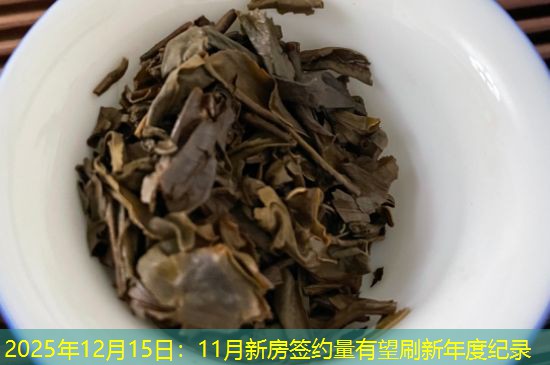 2025年12月15日：11月新房签约量有望刷新年度纪录