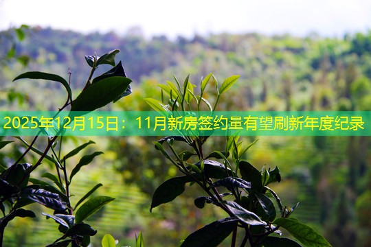 2025年12月15日：11月新房签约量有望刷新年度纪录