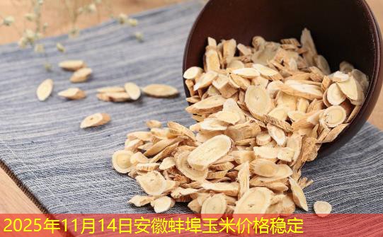 2025年11月14日安徽蚌埠玉米价格稳定