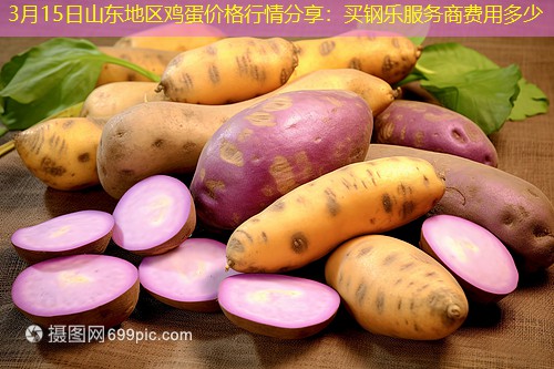 3月15日山东地区鸡蛋价格行情分享：买钢乐服务商费用多少