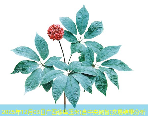 2025年12月03日广西移库玉米(含中央储备)交易结果分析