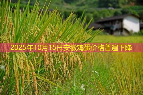 2025年10月15日安徽鸡蛋价格普遍下降