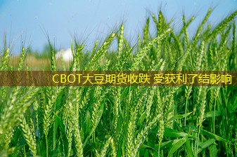 CBOT大豆期货收跌 受获利了结影响