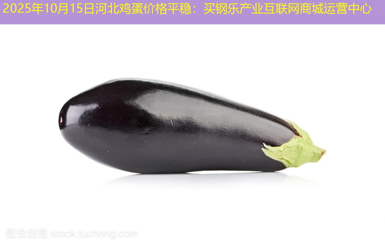 2025年10月15日河北鸡蛋价格平稳：买钢乐产业互联网商城运营中心