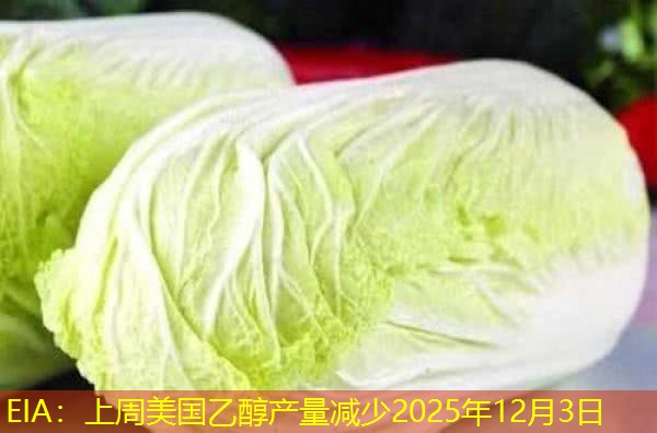 EIA：上周美国乙醇产量减少2025年12月3日