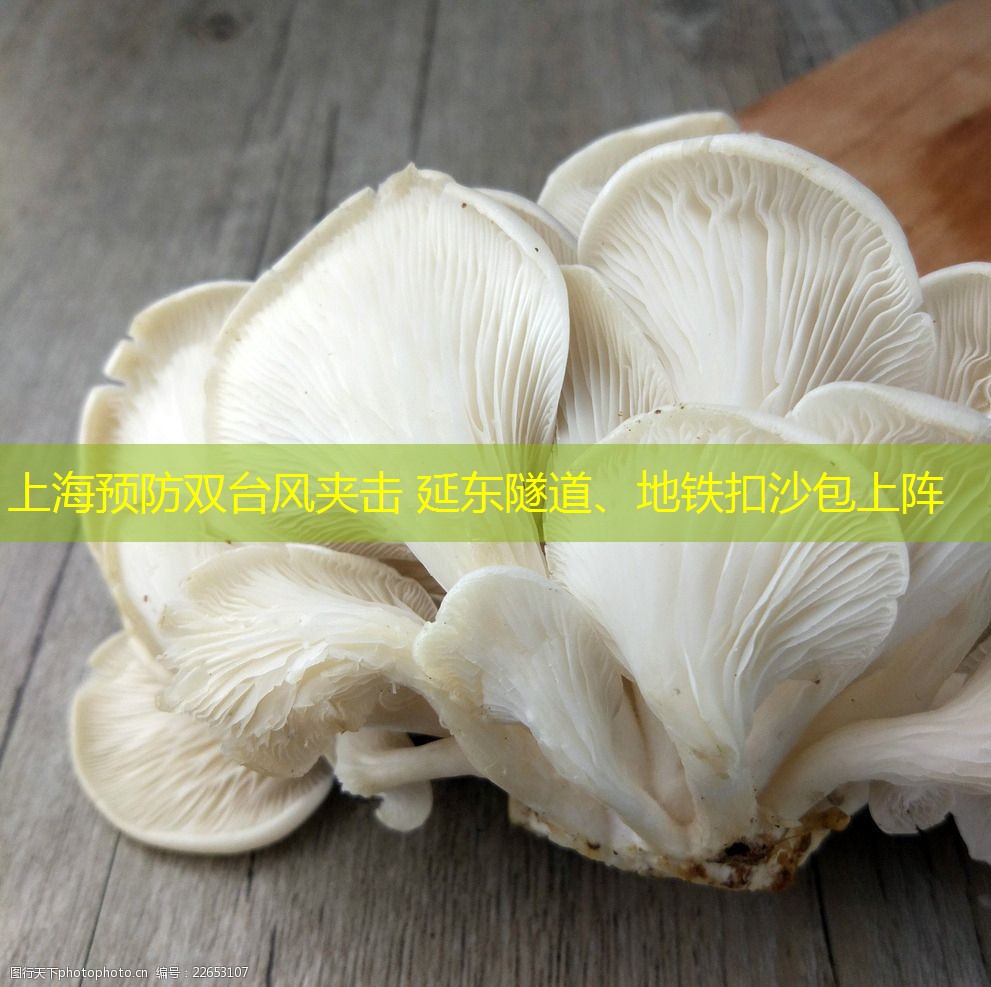 上海预防双台风夹击 延东隧道、地铁扣沙包上阵