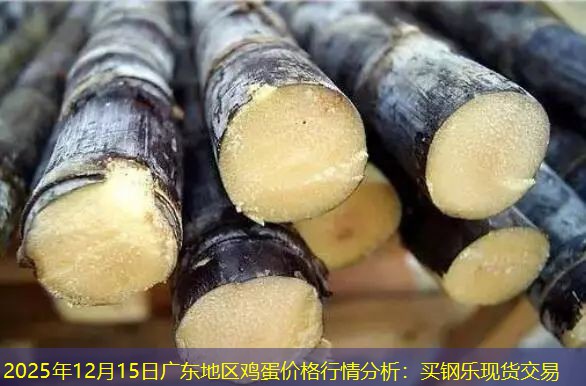 2025年12月15日广东地区鸡蛋价格行情分析