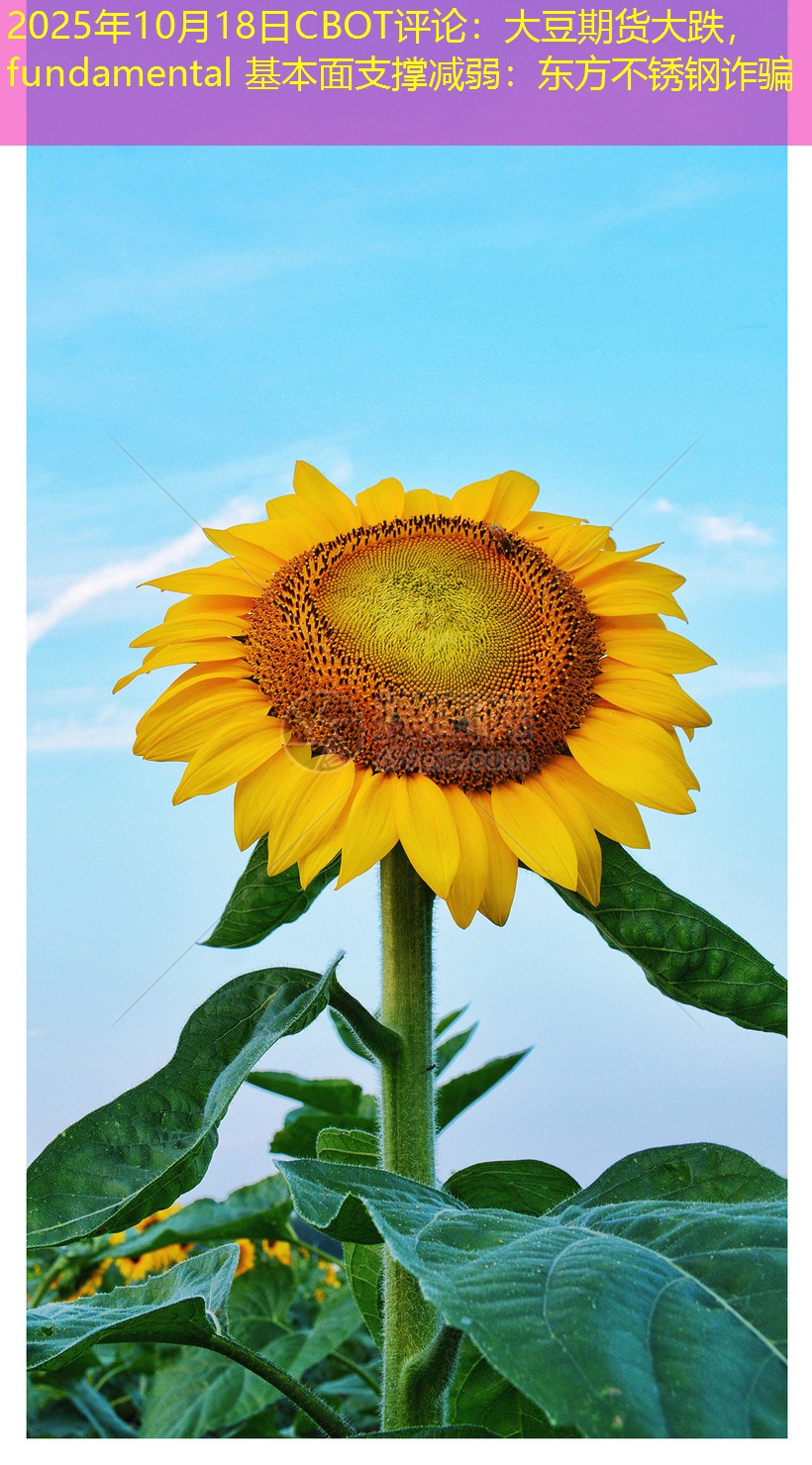 2025年10月18日CBOT评论：大豆期货大跌， fundamental 基本面支撑减弱：东方不锈钢诈骗