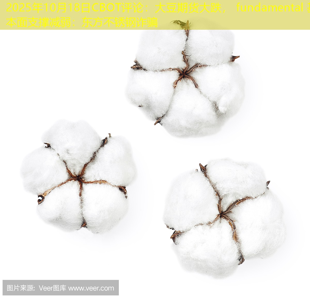 2025年10月18日CBOT评论：大豆期货大跌， fundamental 基本面支撑减弱