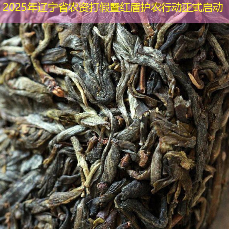 2025年辽宁省农资打假暨红盾护农行动正式启动