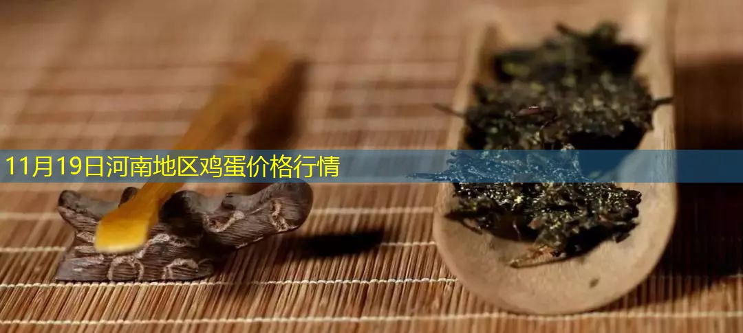 11月19日河南地区鸡蛋价格行情