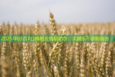 2025年8月17日晚稻发育期动态