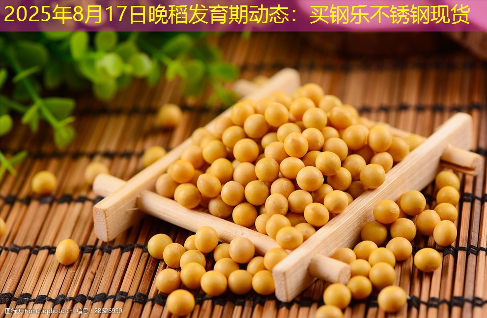 2025年8月17日晚稻发育期动态