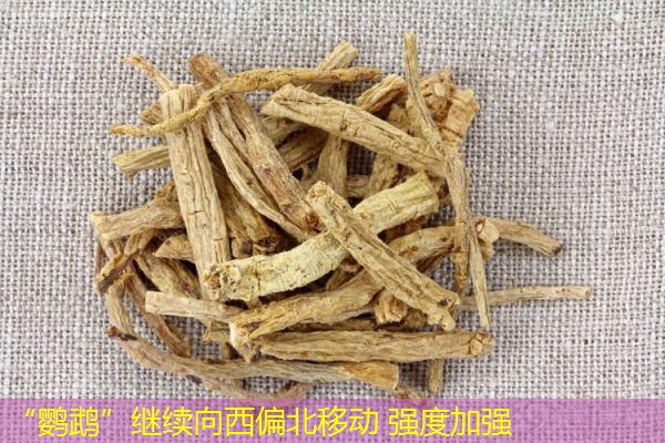 “鹦鹉”继续向西偏北移动 强度加强