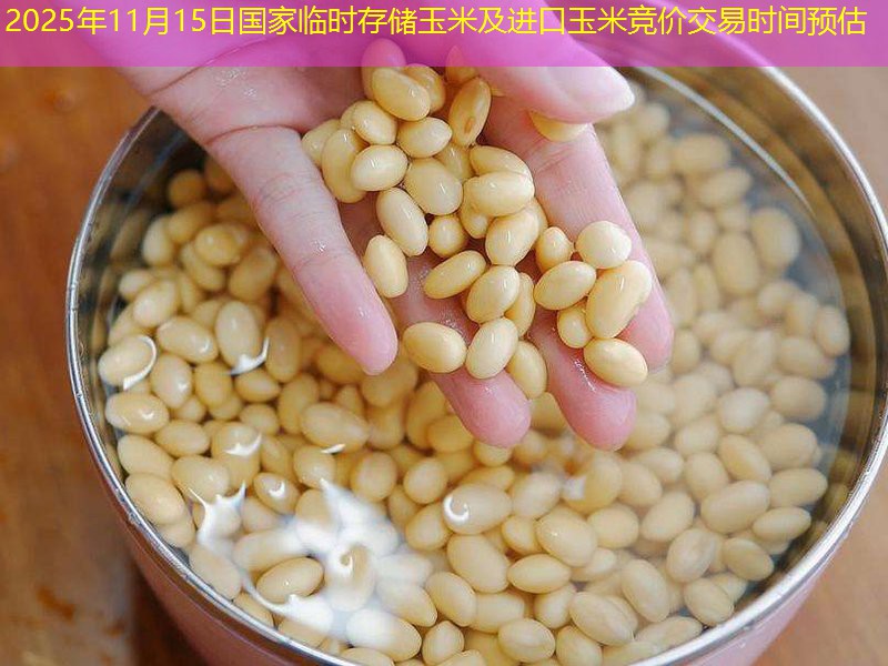 2025年11月15日国家临时存储玉米及进口玉米竞价交易时间预估