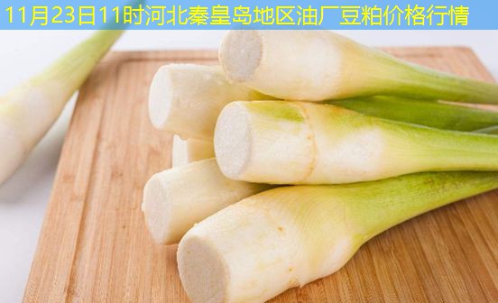 11月23日11时河北秦皇岛地区油厂豆粕价格行情