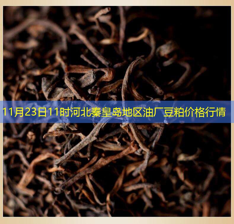 11月23日11时河北秦皇岛地区油厂豆粕价格行情