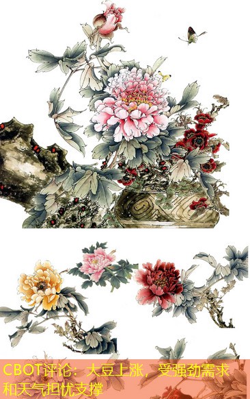 CBOT评论：大豆上涨，受强劲需求和天气担忧支撑