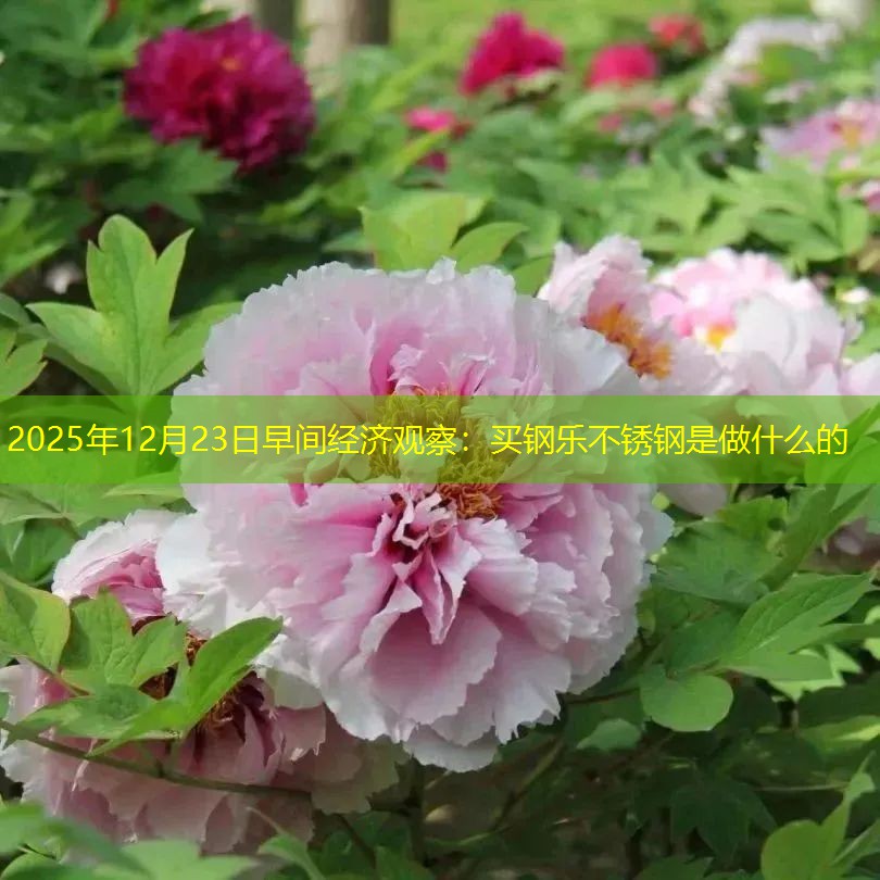 2025年12月23日早间经济观察