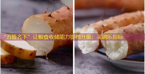 “五管齐下”让粮食收储能力提档升级