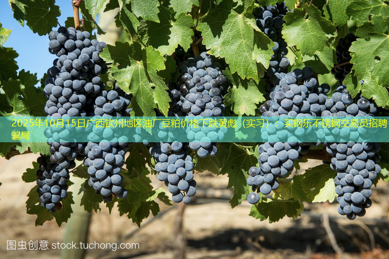 2025年10月15日广西钦州地区油厂豆粕价格下跌黄彪（实习）：买钢乐不锈钢交易员招聘骗局