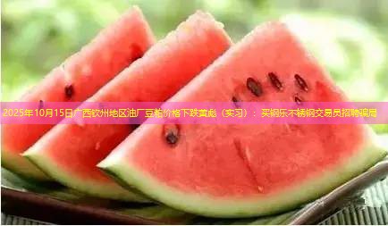 2025年10月15日广西钦州地区油厂豆粕价格下跌黄彪（实习）