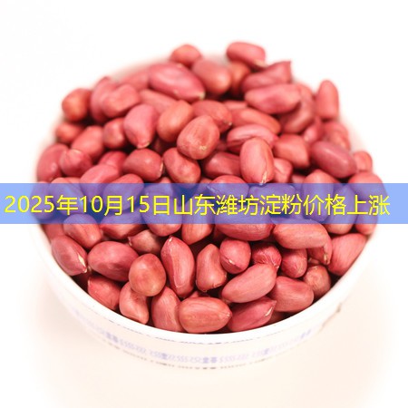 2025年10月15日山东潍坊淀粉价格上涨