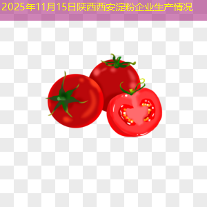 2025年11月15日陕西西安淀粉企业生产情况