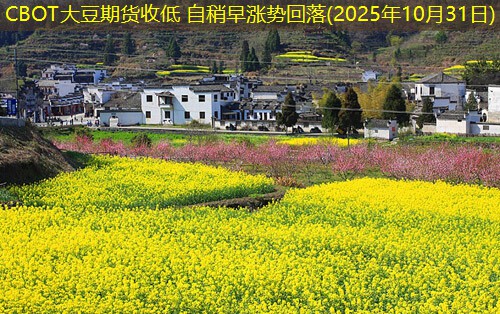 CBOT大豆期货收低 自稍早涨势回落(2025年10月31日)