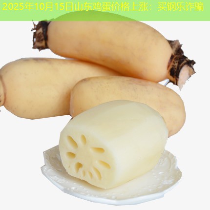 2025年10月15日山东鸡蛋价格上涨：买钢乐诈骗