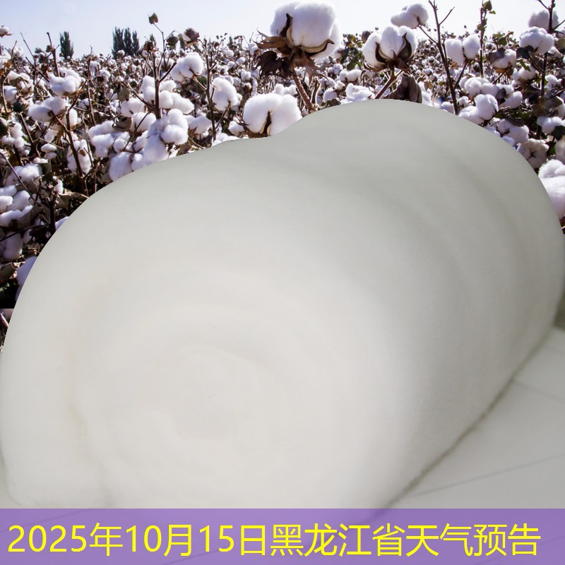 2025年10月15日黑龙江省天气预告