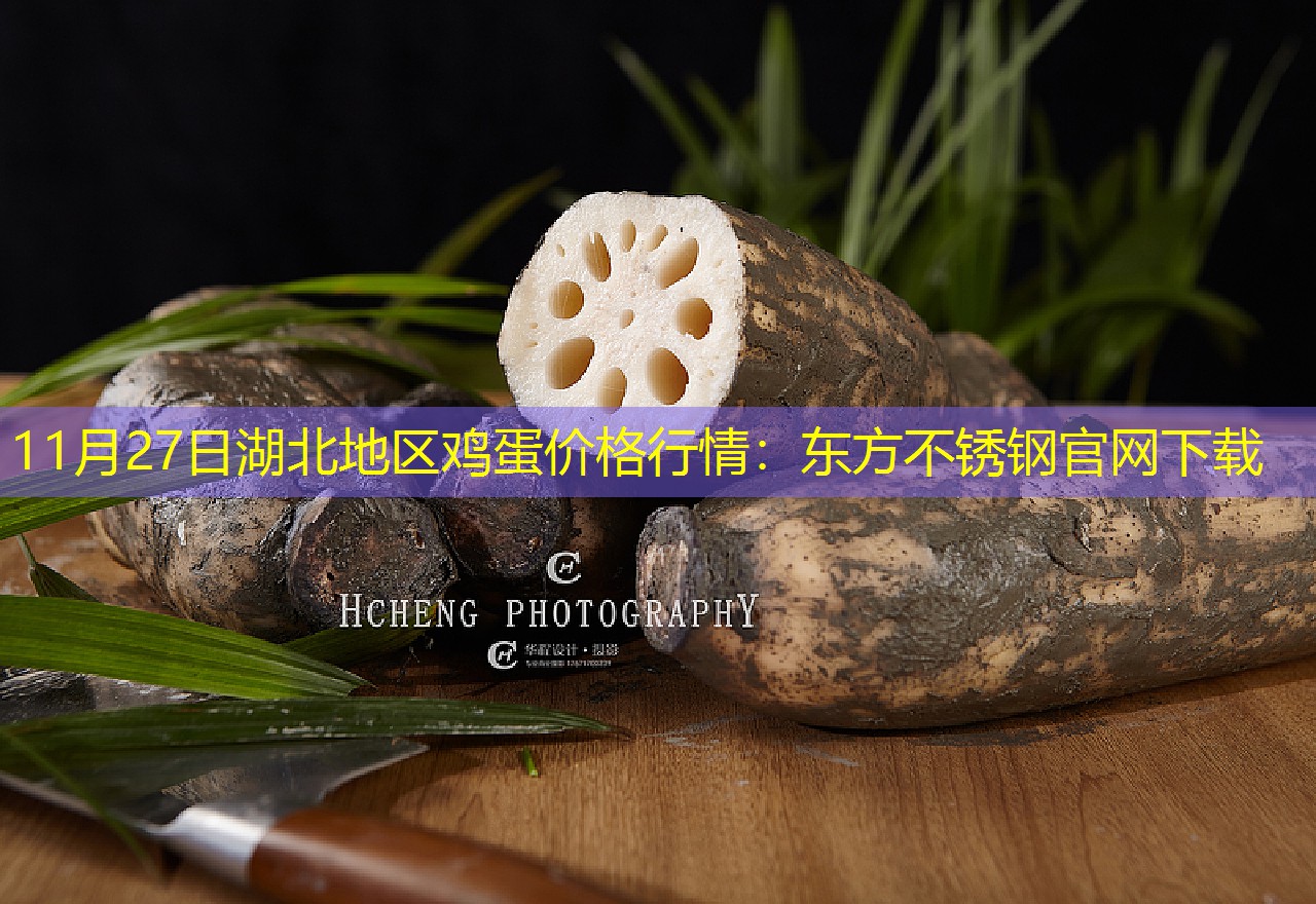 11月27日湖北地区鸡蛋价格行情：东方不锈钢官网下载