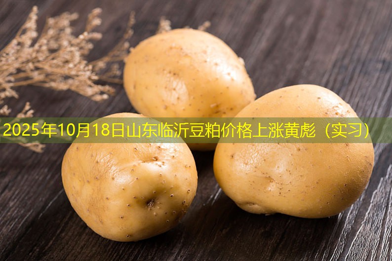 2025年10月18日山东临沂豆粕价格上涨黄彪（实习）