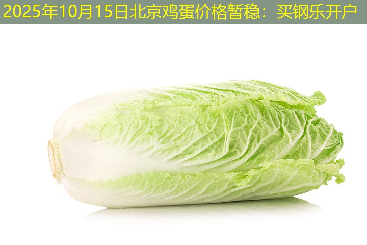 2025年10月15日北京鸡蛋价格暂稳：买钢乐开户
