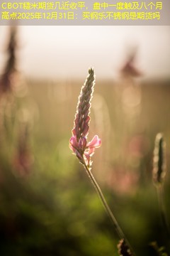 CBOT糙米期货几近收平，盘中一度触及八个月高点2025年12月31日：买钢乐不锈钢是期货吗