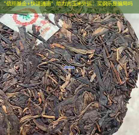 “信用基金+快速通道”助力吉玉米外运：买钢乐是骗局吗