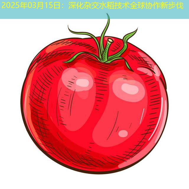 2025年03月15日：深化杂交水稻技术全球协作新步伐