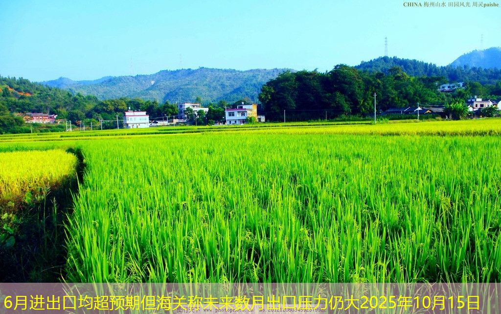 6月进出口均超预期但海关称未来数月出口压力仍大2025年10月15日