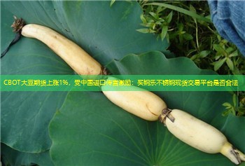 CBOT大豆期货上涨1%，受中国进口传言激励