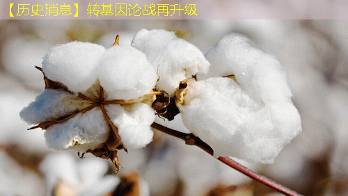 【历史消息】转基因论战再升级