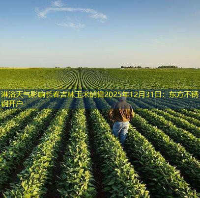 淋浴天气影响长春吉林玉米销售2025年12月31日