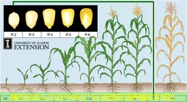 猪肉价或从2025年06月15日起回升因养殖成本增加