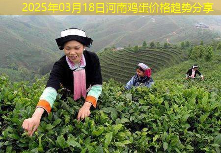 2025年03月18日河南鸡蛋价格趋势分享